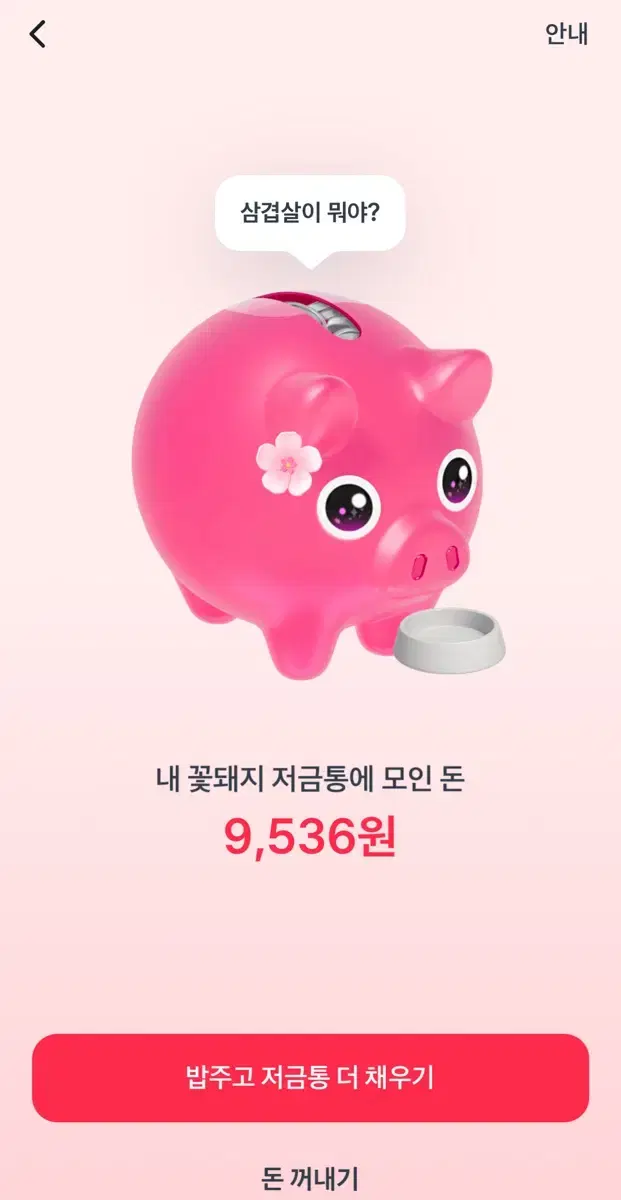 꽃돼지 저금통 해주시면 300원 입금 드려요